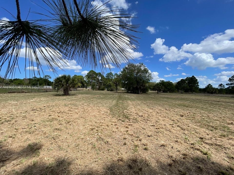 На продажу: $64,900 (1.25 acres)