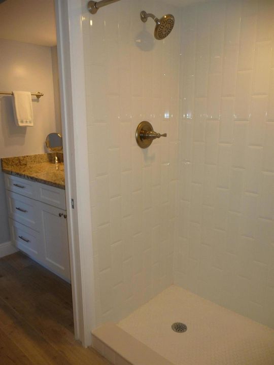 MAIN BATHROOM-SHOWER