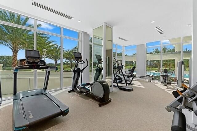 Akoya Gym