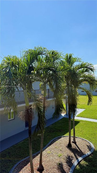 En Venta: $310,000 (2 camas, 1 baños, 816 Pies cuadrados)