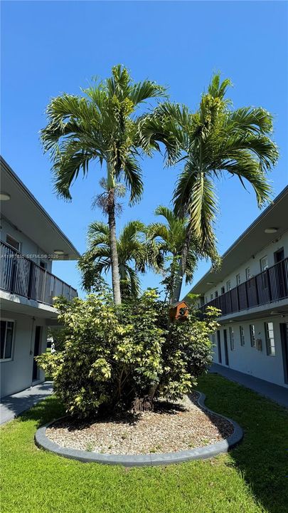 En Venta: $310,000 (2 camas, 1 baños, 816 Pies cuadrados)