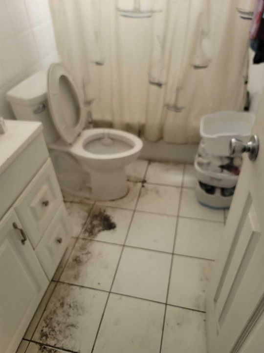 Hallway Bathroom 1