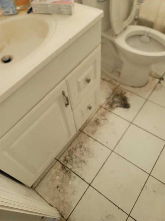 Hallway Bathroom 2
