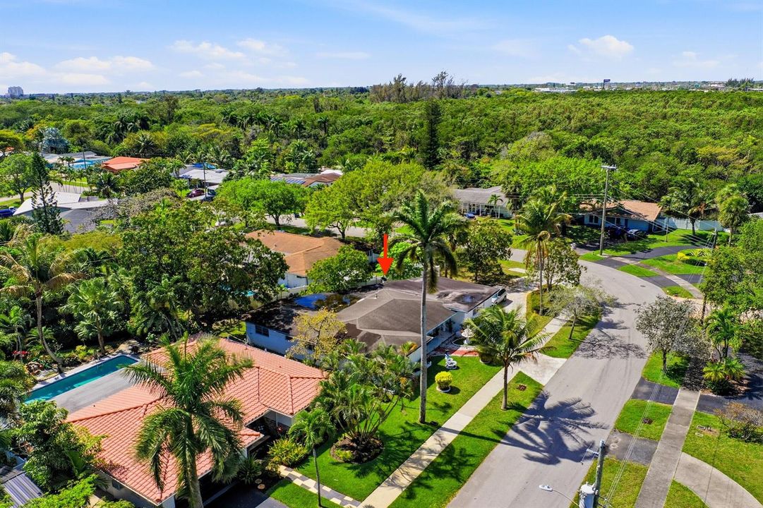 08_01_dji_0530