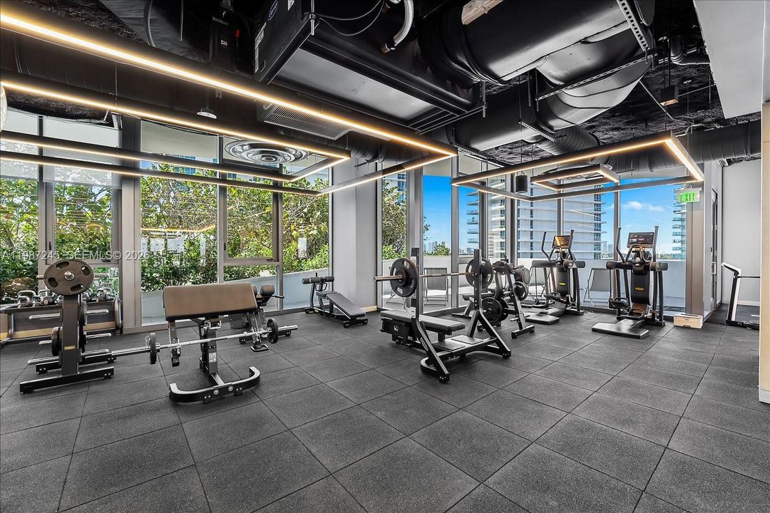 Weight Lifting Section + Cardio at Five Park Gym