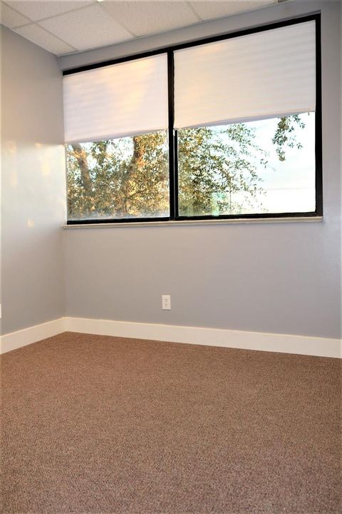 OFFICE 1 NATURAL LIGHT