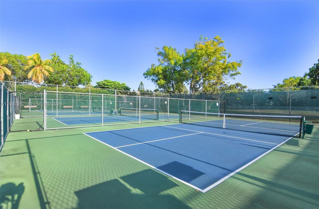 Pickleball and tennis