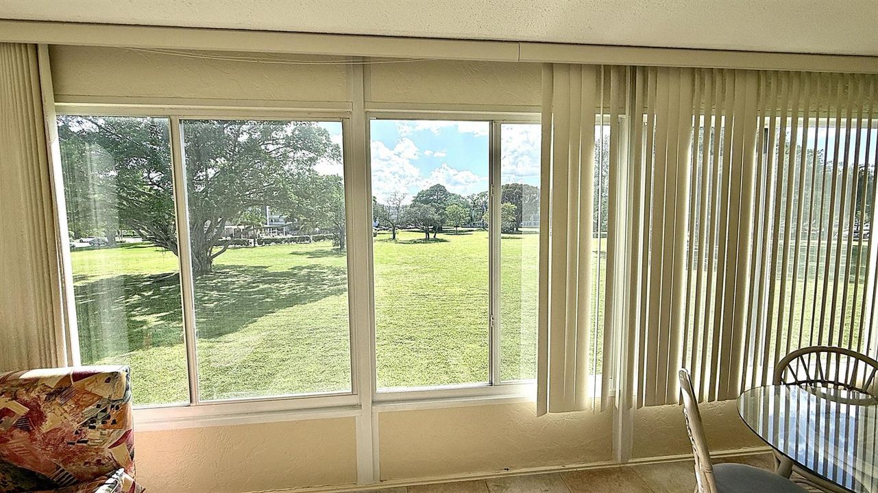 Enclosed Patio View