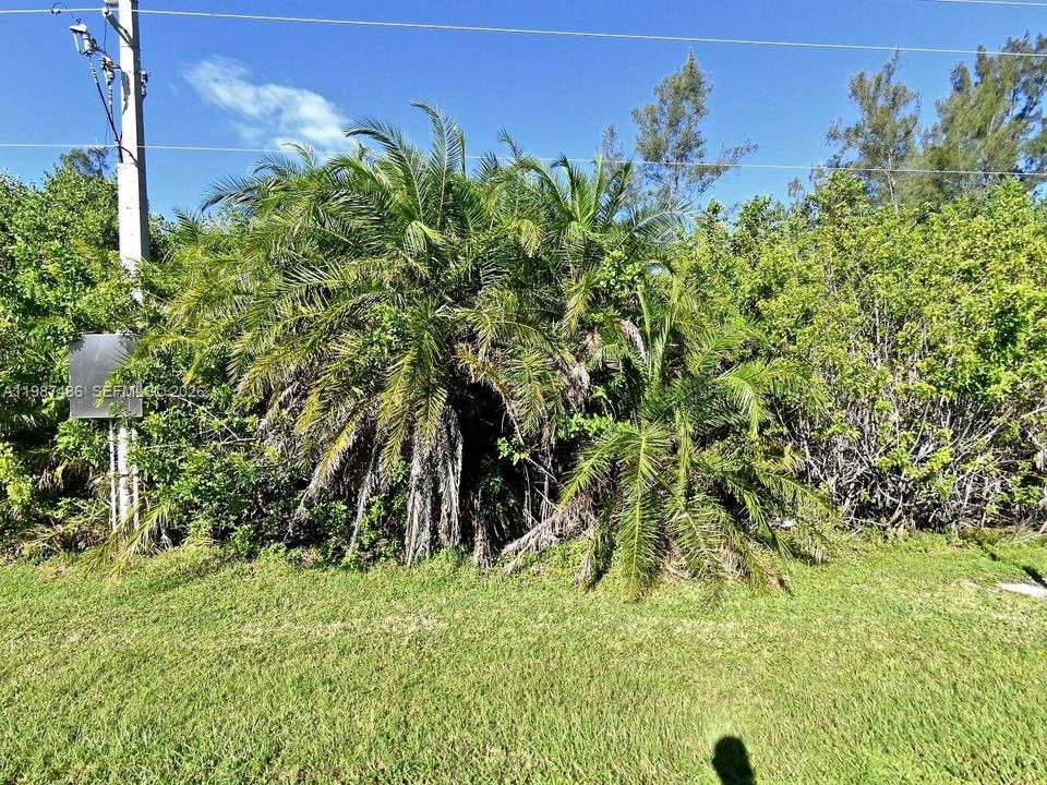 For Sale: $70,000 (0.18 acres)