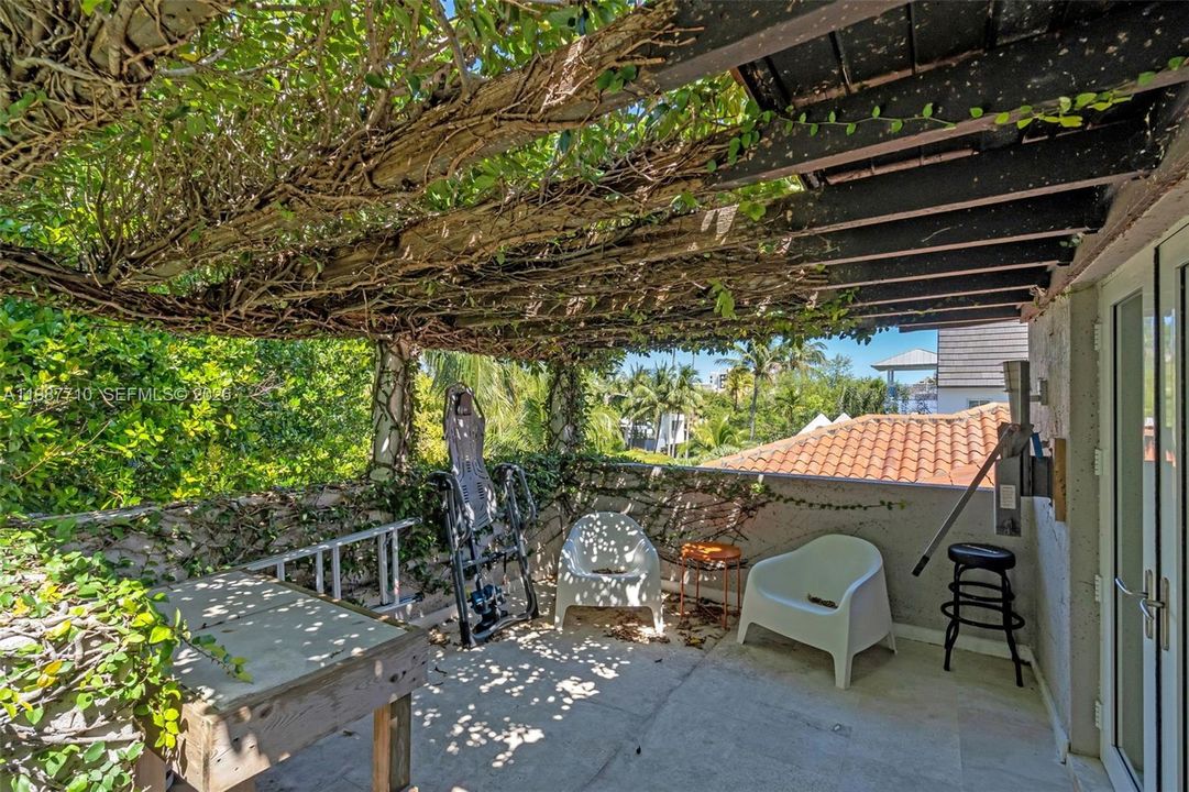 Upper veranda with “roof” of fig vines.