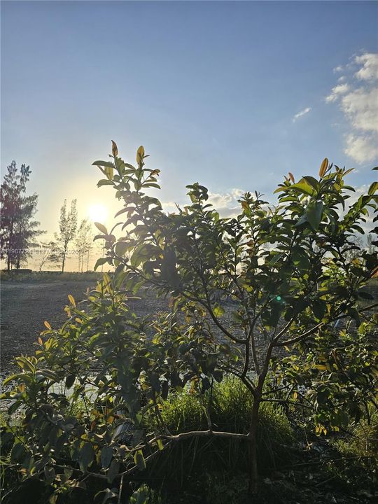 En Venta: $945,000 (0 camas, 0 baños, 0 Pies cuadrados)