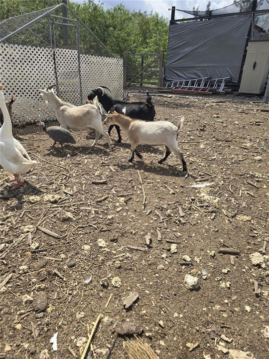 En Venta: $945,000 (0 camas, 0 baños, 0 Pies cuadrados)