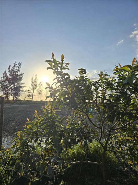 En Venta: $945,000 (0 camas, 0 baños, 0 Pies cuadrados)