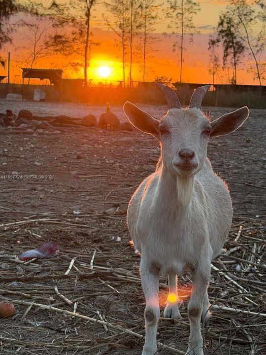 En Venta: $945,000 (0 camas, 0 baños, 0 Pies cuadrados)