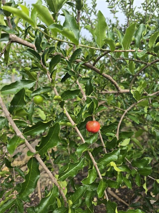 En Venta: $945,000 (0 camas, 0 baños, 0 Pies cuadrados)