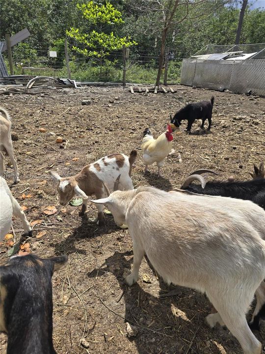 En Venta: $945,000 (0 camas, 0 baños, 0 Pies cuadrados)