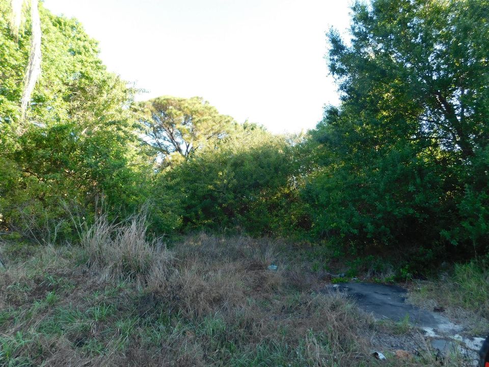 Ocala 2
