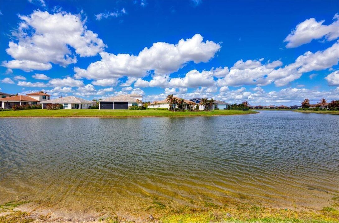Lake view