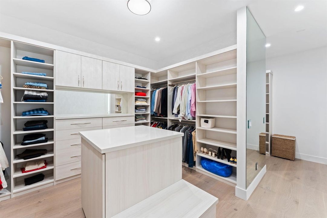 primary closet view