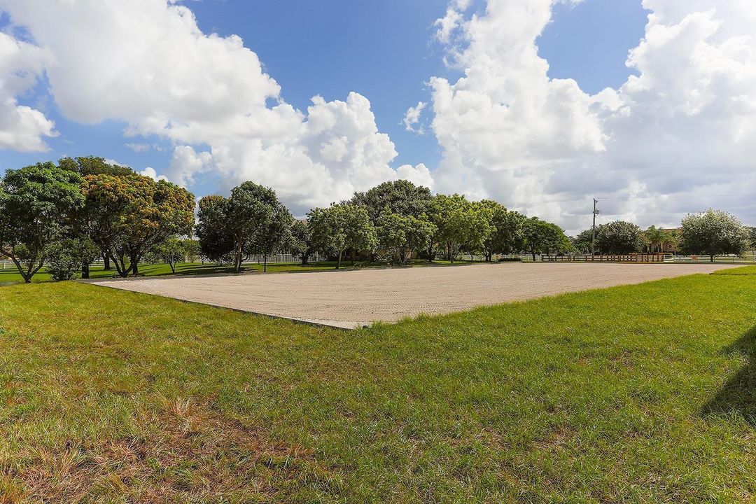 Arena