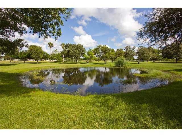 Pond View
