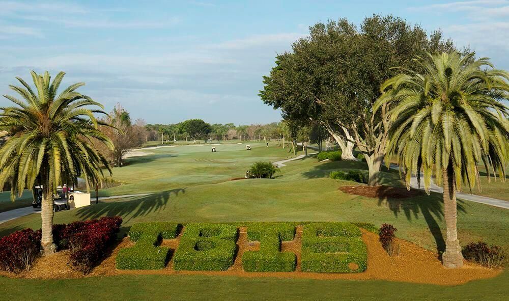 IBIS Hedge