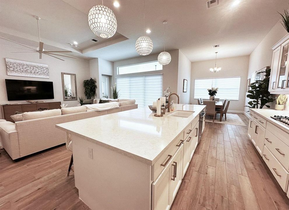 Large Gourmet Kitchen