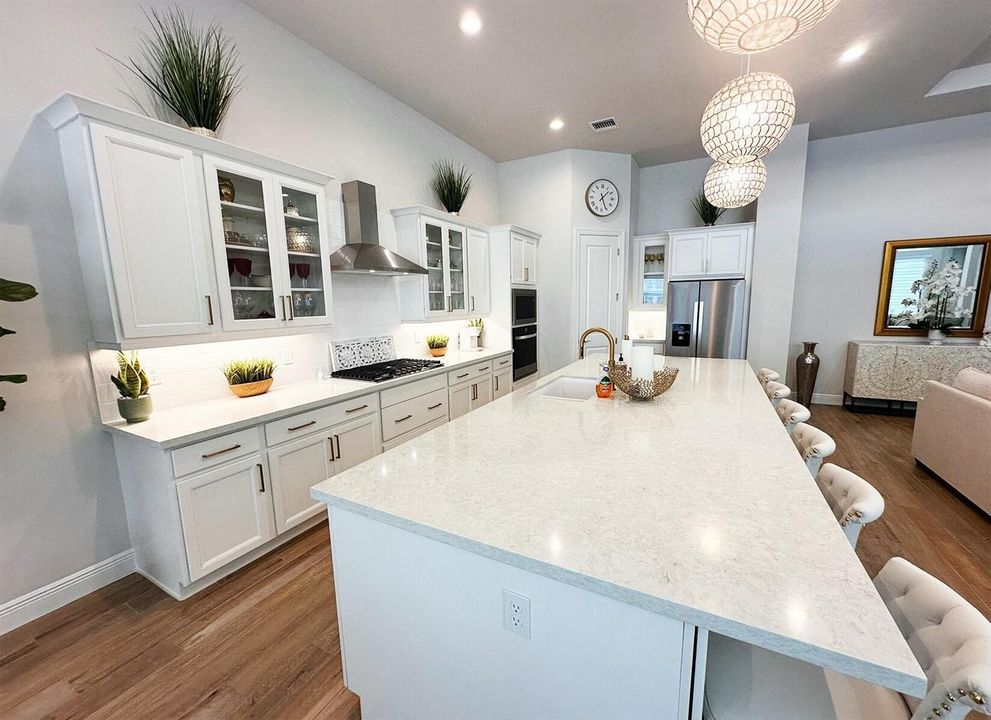 Large Gourmet Kitchen