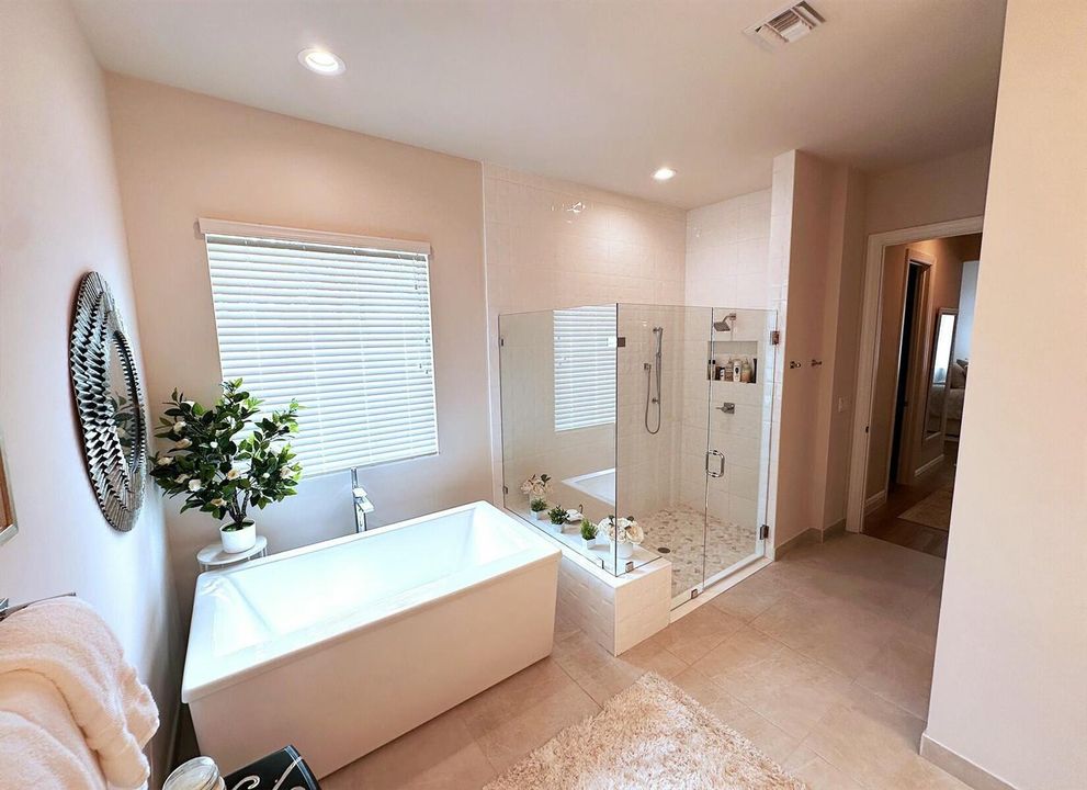 Large tub and shower
