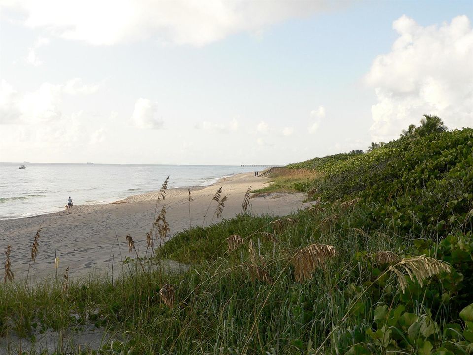 Jupiter Beach