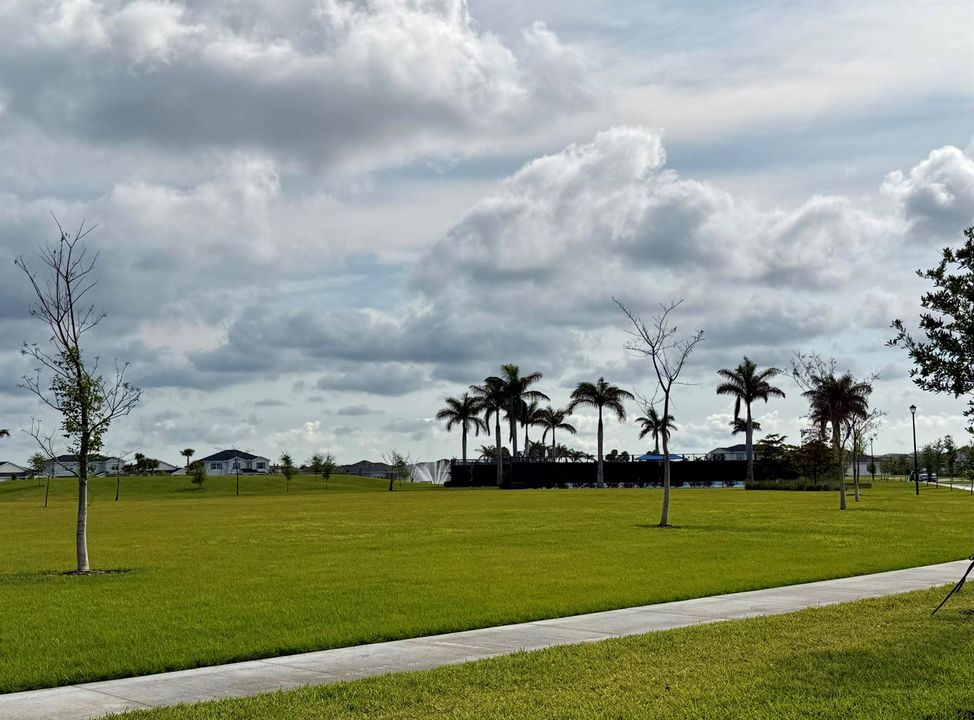 Open Area