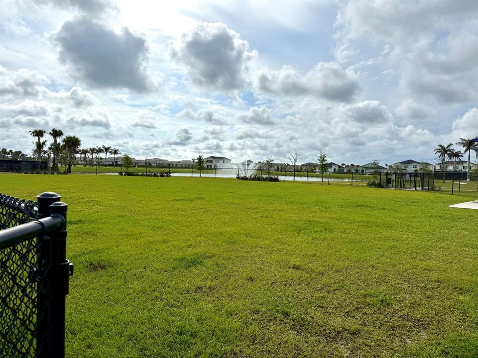 Dog Park