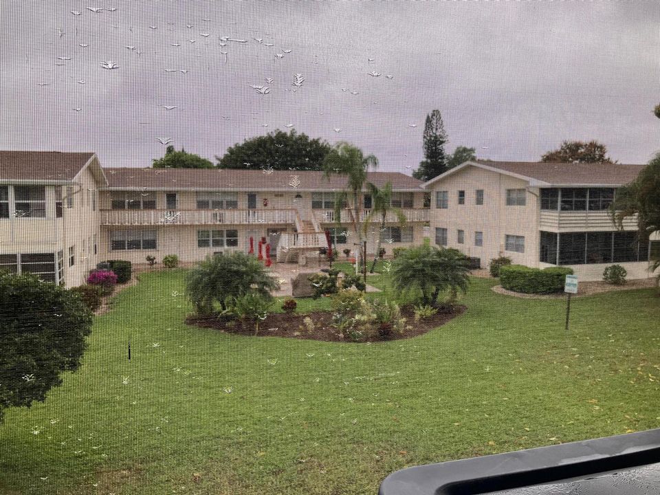 back yard view
