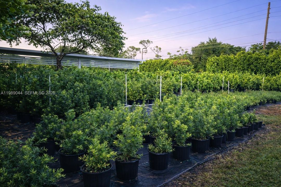 En Venta: $3,000,000 (0 camas, 0 baños, 0 Pies cuadrados)