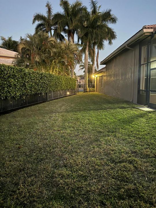 Fenced Backyard