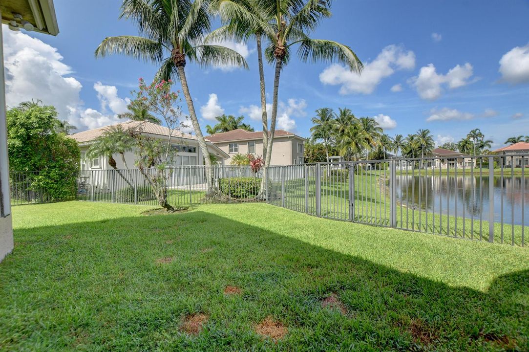 Fenced Backyard