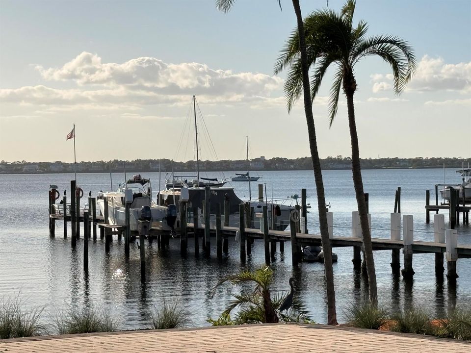 View from Oleander Park