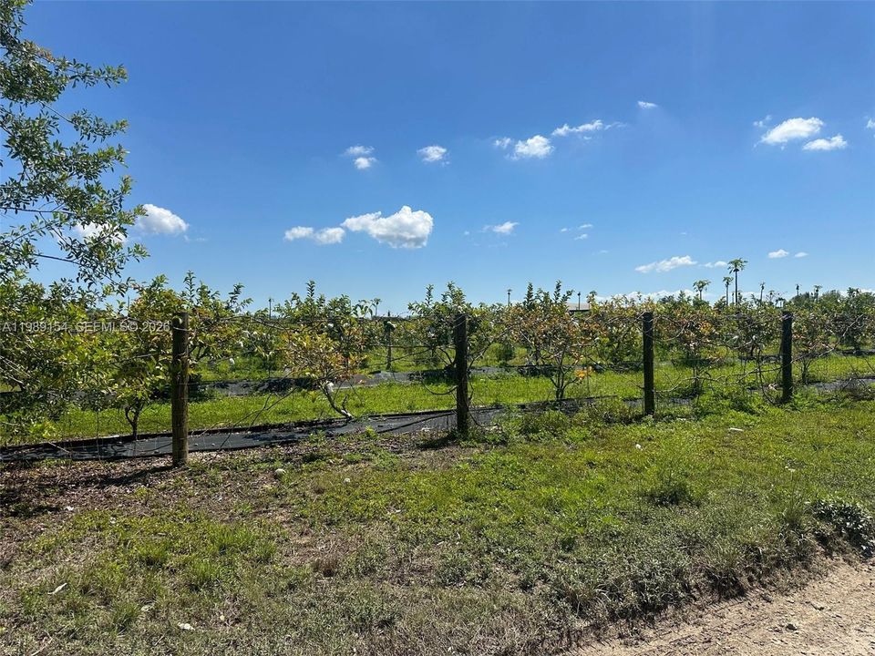 For Sale: $1,300,000 (0 beds, 0 baths, 0 Square Feet)