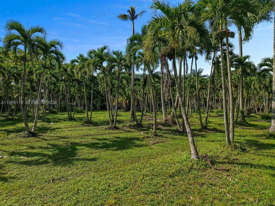 En Venta: $480,000 (0 camas, 0 baños, 0 Pies cuadrados)