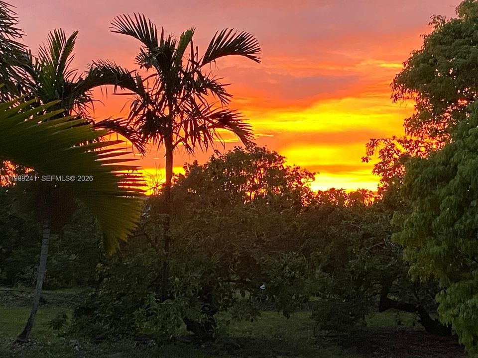 Incredible sunsets