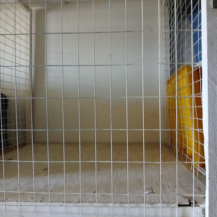 Storage Unit Martin Group Realtors