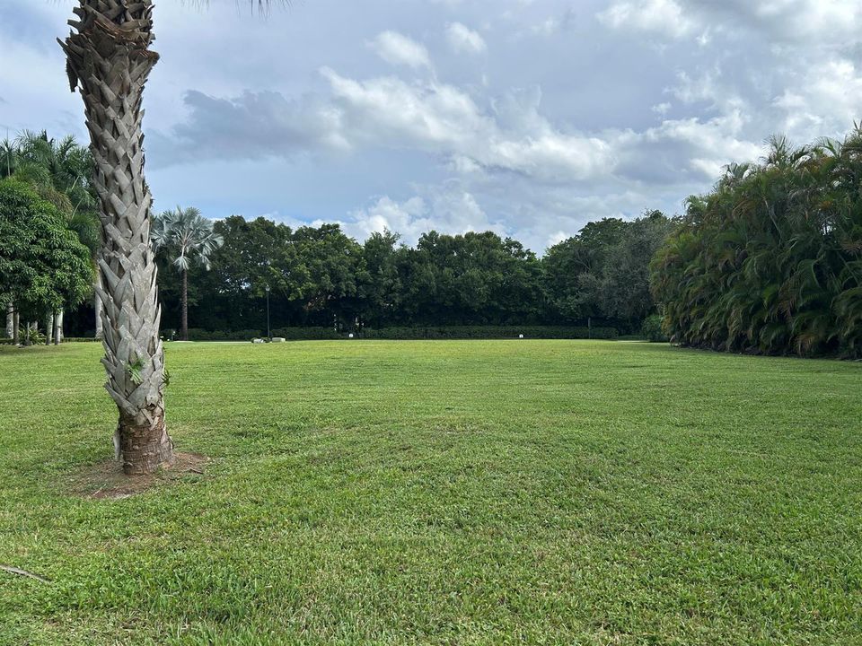 view of lot from back