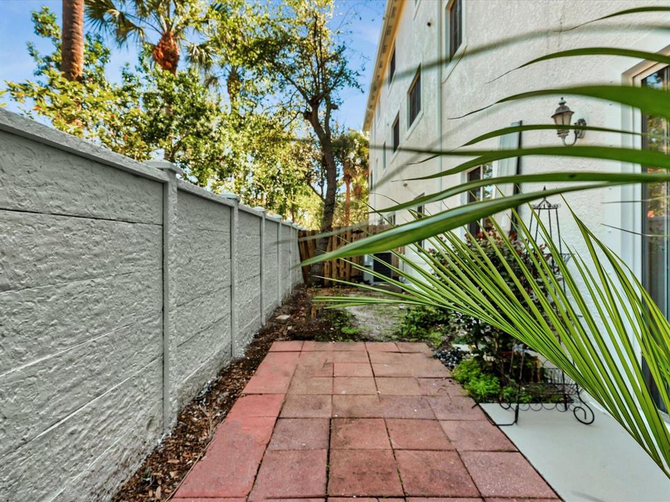 Fenced Yard Space