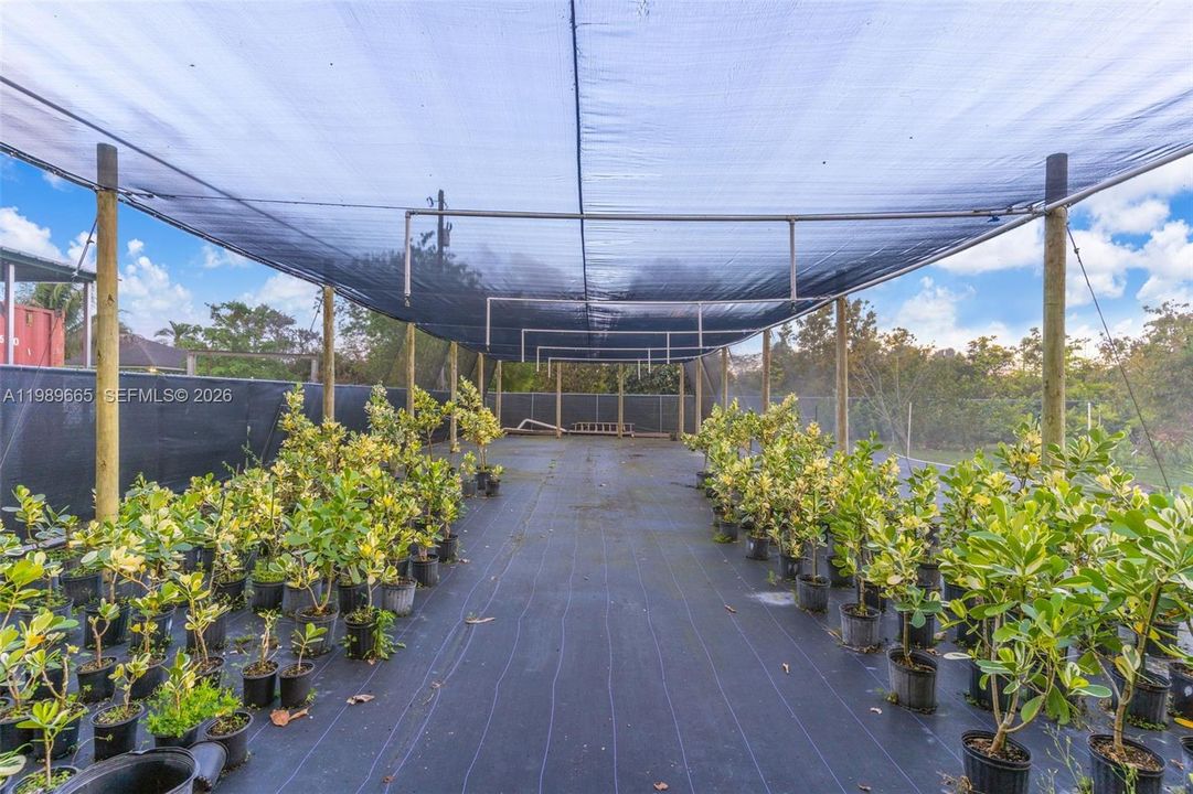 NURSERY AREA VIEW