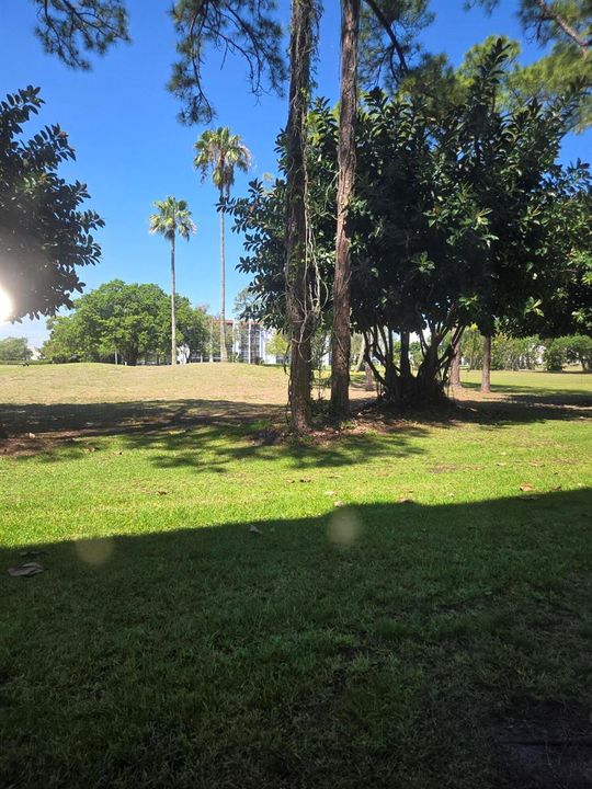 Golf Course Patio View