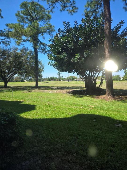 Golf Course Patio View 2