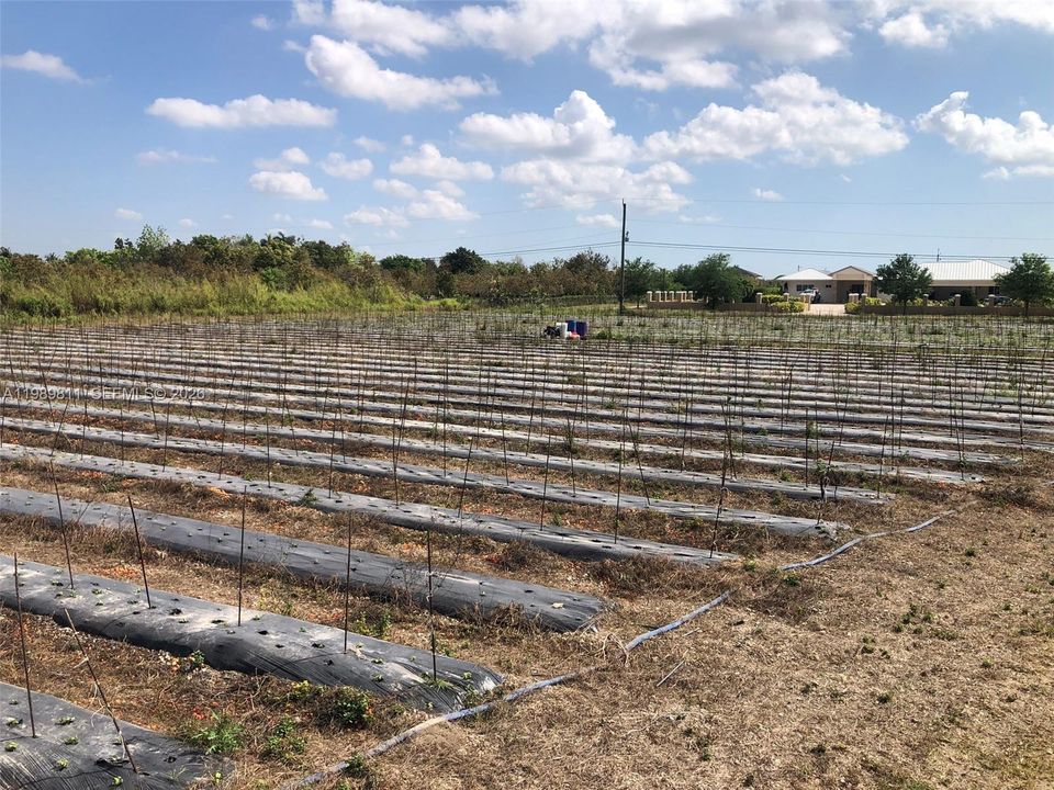 待售: $900,000 (1.25 acres)