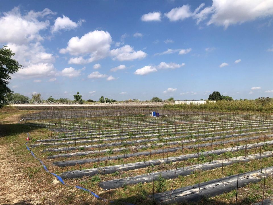 待售: $900,000 (1.25 acres)