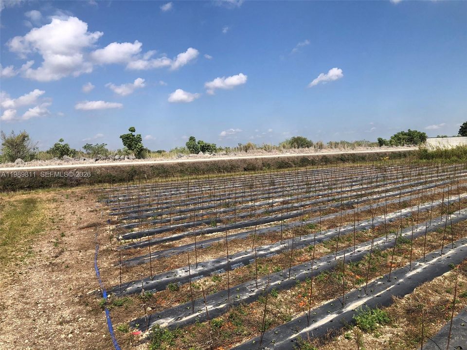 待售: $900,000 (1.25 acres)