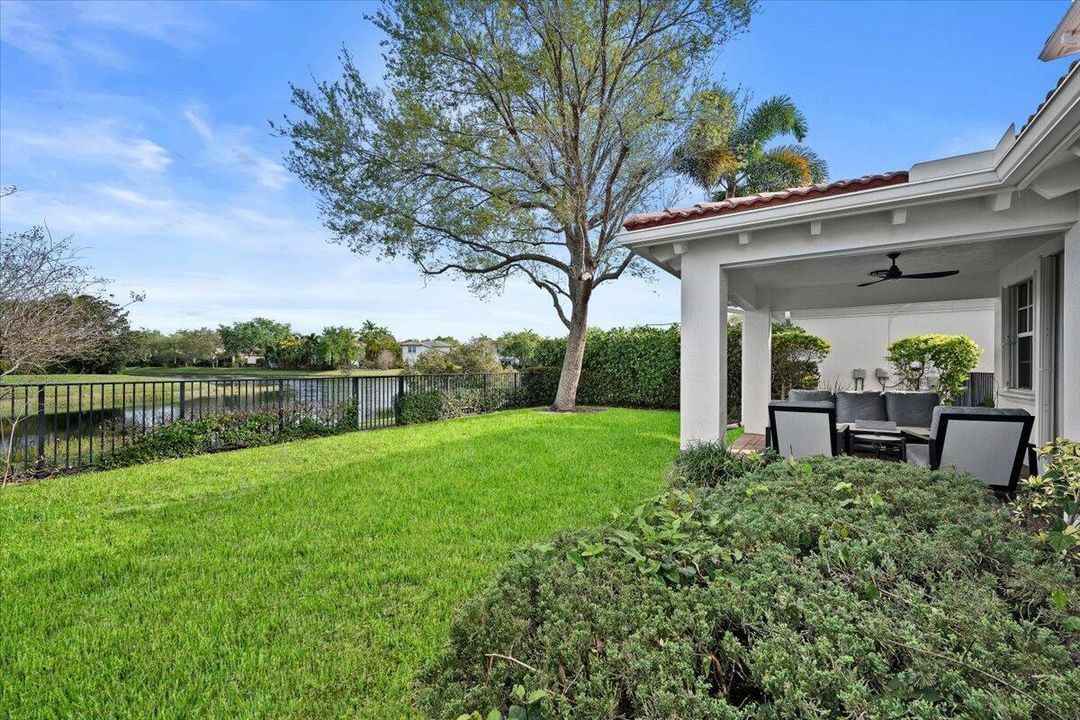Fenced-In Backyard